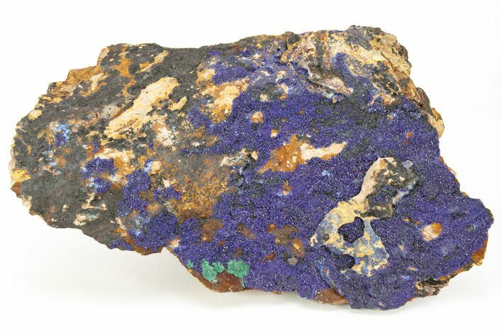 Azurite and Malachite Association on Matrix - Morocco #217776